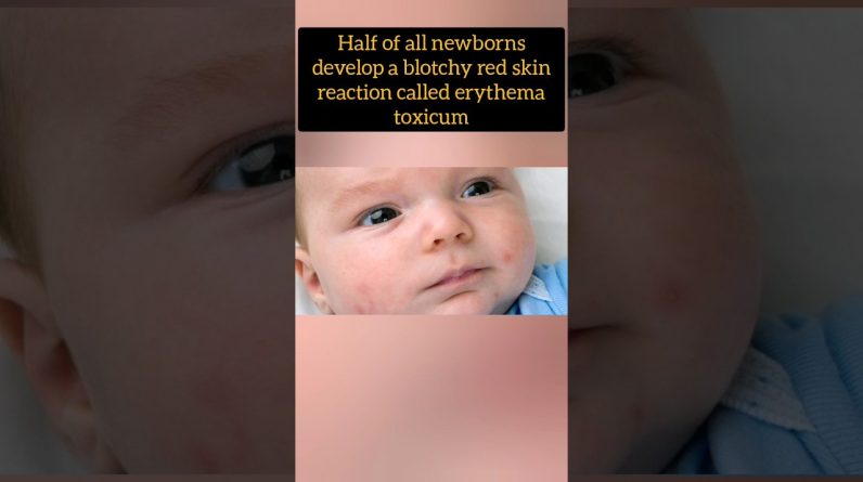 1765177323 maxresdefault