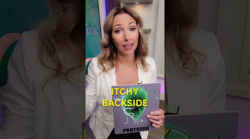 1765180082 maxresdefault