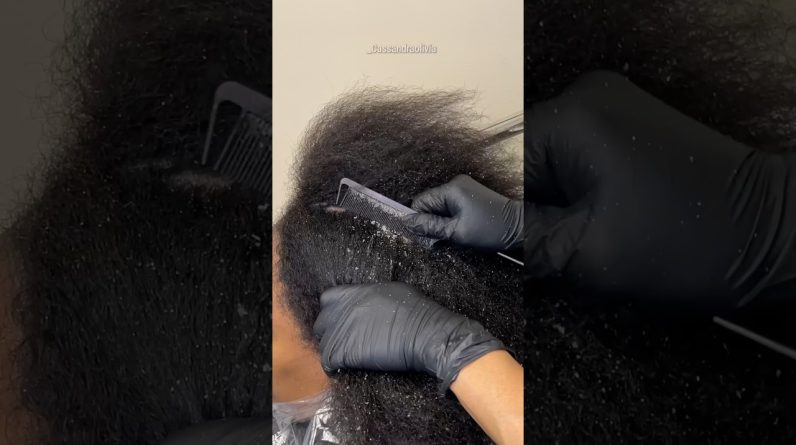 1765188656 maxresdefault