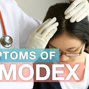 1765195982 maxresdefault