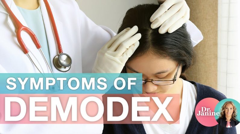 1765195982 maxresdefault