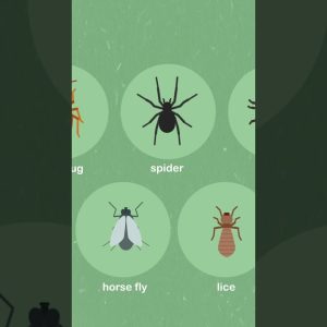 1765202048 maxresdefault