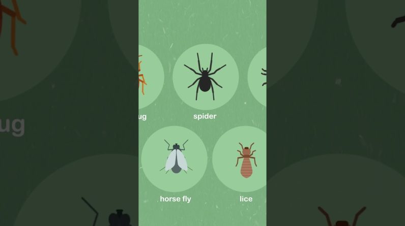 1765202048 maxresdefault