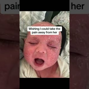 1765202995 maxresdefault