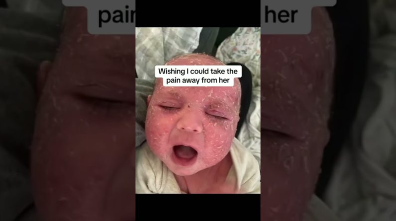 1765202995 maxresdefault