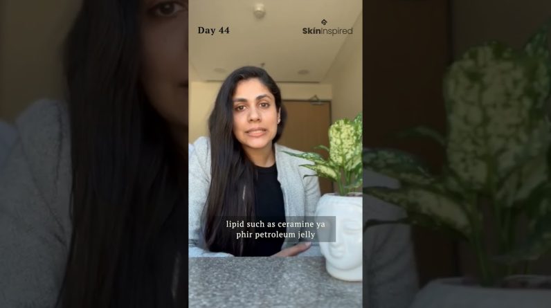 1765207059 maxresdefault