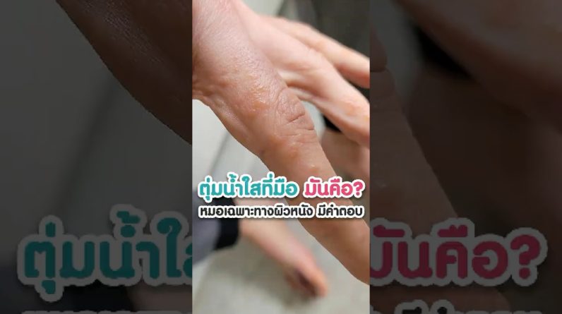 1765209358 maxresdefault