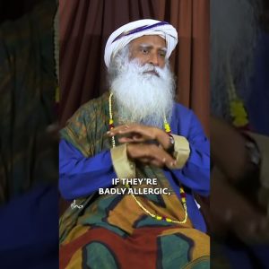 1765214406 maxresdefault