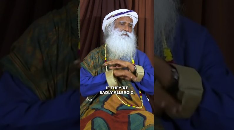 1765214406 maxresdefault