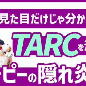 1765237494 maxresdefault