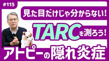 1765237494 maxresdefault