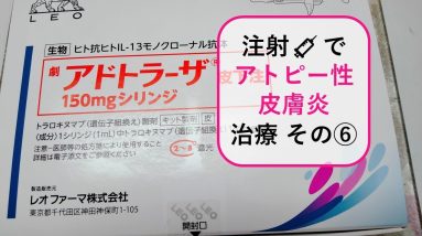 1765241155 maxresdefault