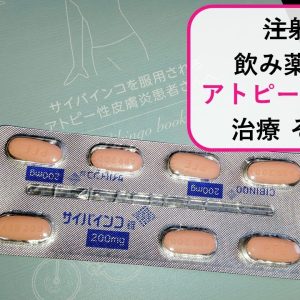 1765248460 maxresdefault