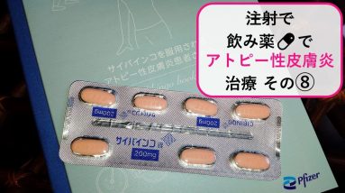 1765248460 maxresdefault