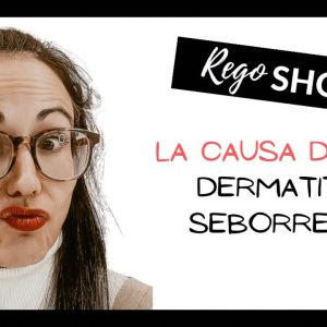 1765250963 maxresdefault