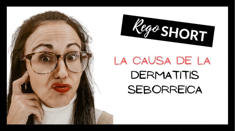 1765250963 maxresdefault