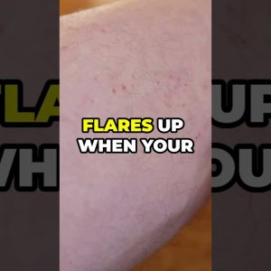 1765253400 maxresdefault