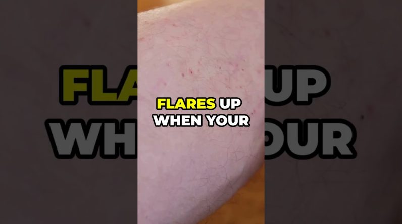 1765253400 maxresdefault