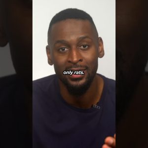 1765253464 maxresdefault