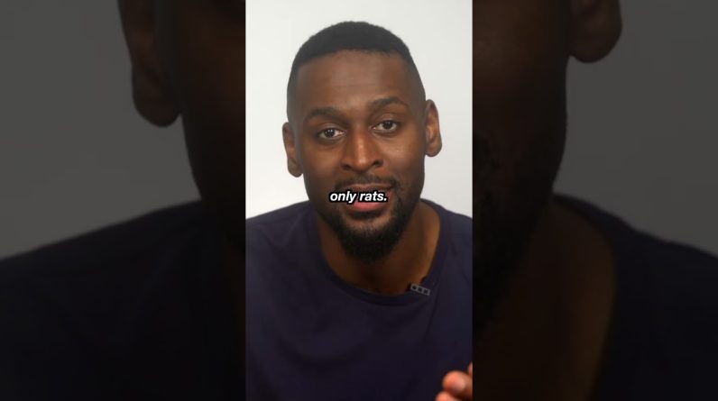 1765253464 maxresdefault