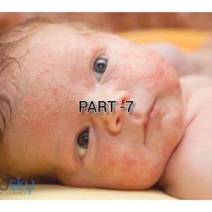 1765268990 maxresdefault