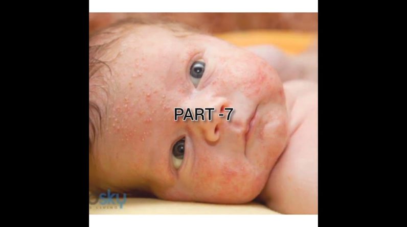 1765268990 maxresdefault