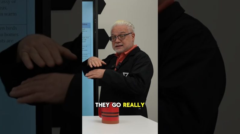 1765275368 maxresdefault