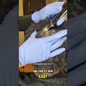 1765283937 maxresdefault