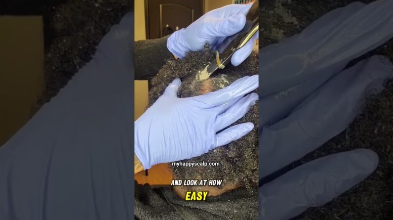 1765283937 maxresdefault