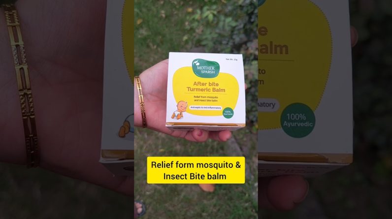 1765291015 maxresdefault