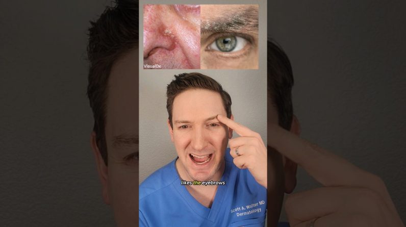 1765294796 maxresdefault