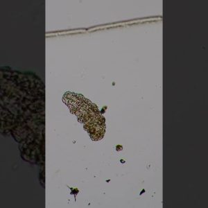 1765297379 maxresdefault