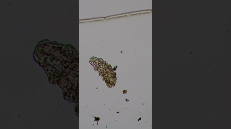 1765297379 maxresdefault