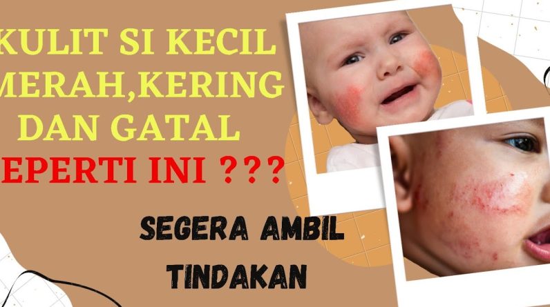 1765298338 maxresdefault