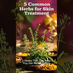 1765315795 maxresdefault