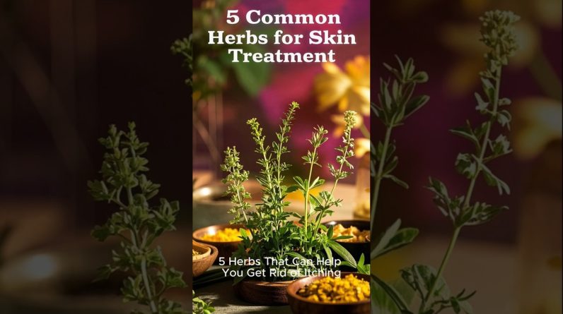 1765315795 maxresdefault