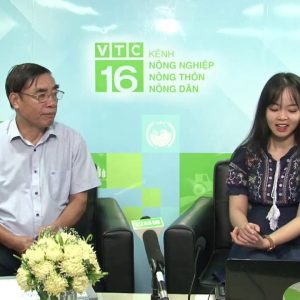 1765347295 maxresdefault