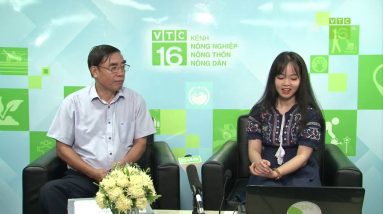 1765347295 maxresdefault