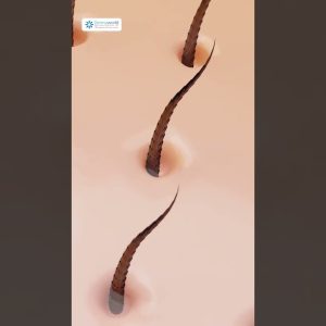 1765349887 maxresdefault