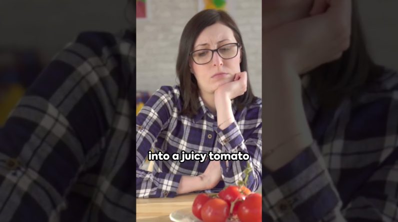 1765360875 maxresdefault