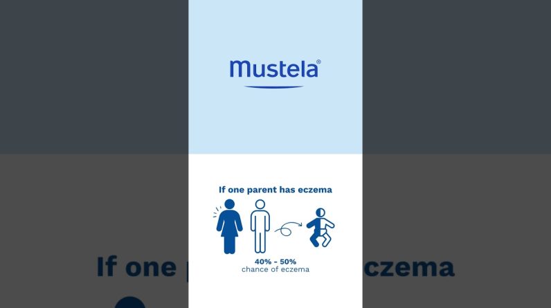 1765367881 maxresdefault