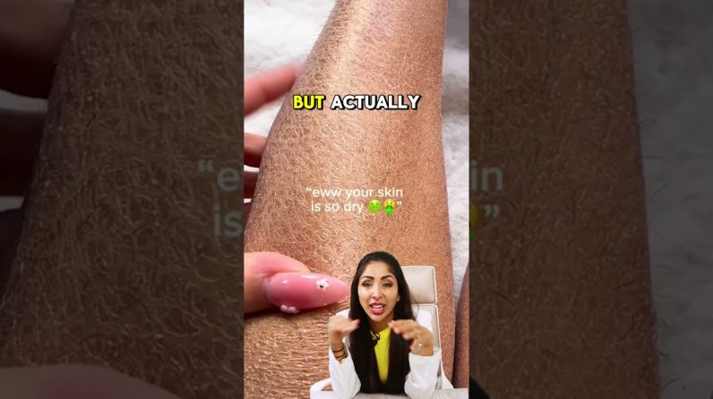 1765381556 maxresdefault