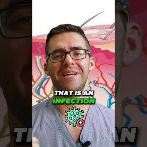 1765392536 maxresdefault