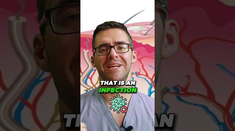 1765392536 maxresdefault