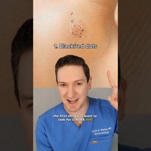 1765396203 maxresdefault