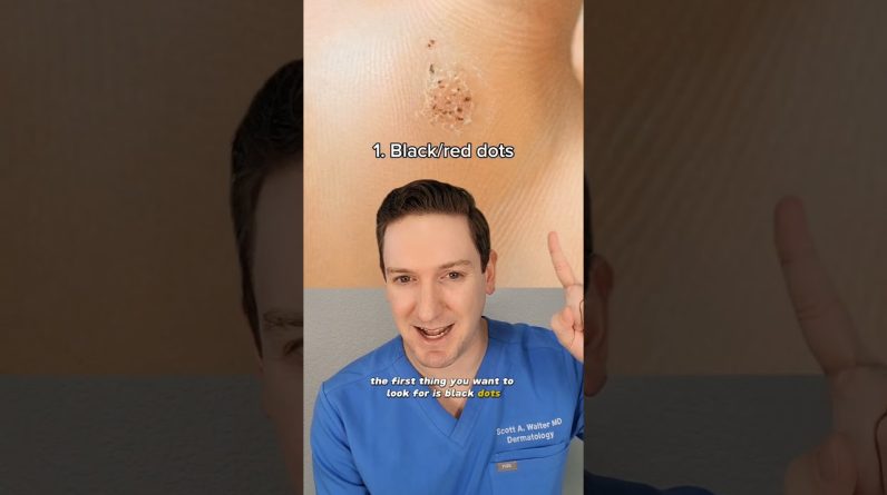 1765396203 maxresdefault