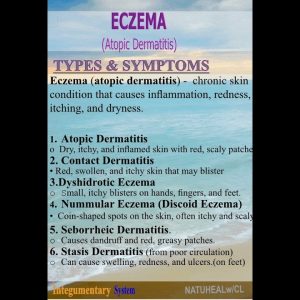 1765412040 maxresdefault