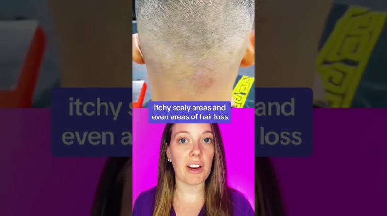 1765422959 maxresdefault