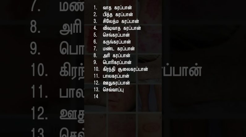 1765435156 maxresdefault