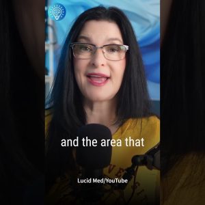 1765445097 maxresdefault